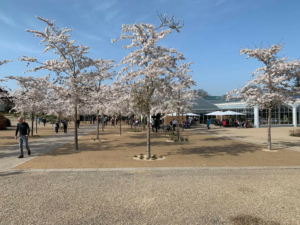 Case Studies Wisley (1)