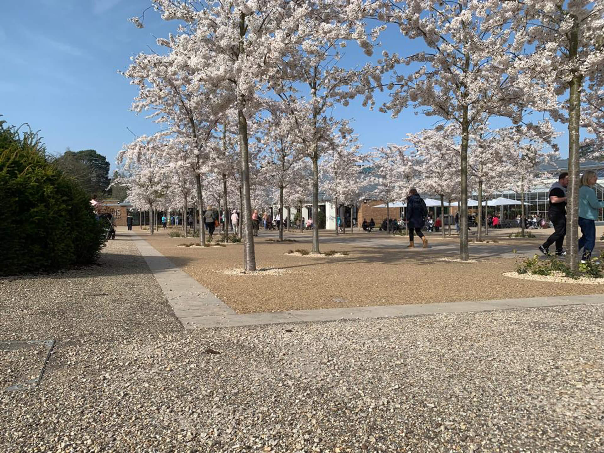 Case Studies Wisley (2)