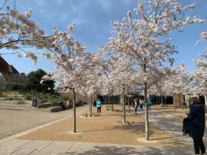 Case Studies Wisley (5)