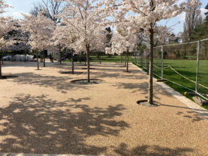Case Studies Wisley (8)